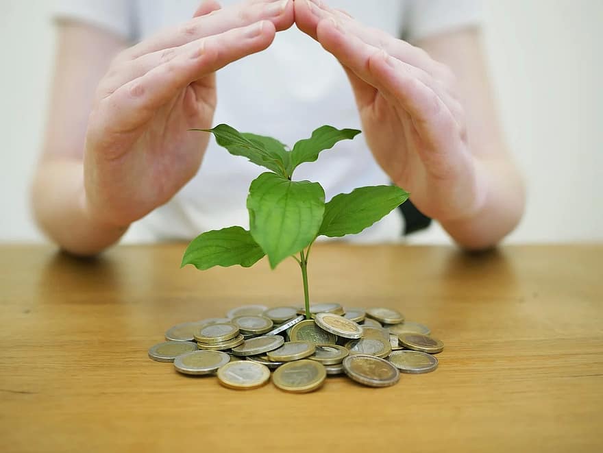 money back up save money save bank coins economy invest wealth finance